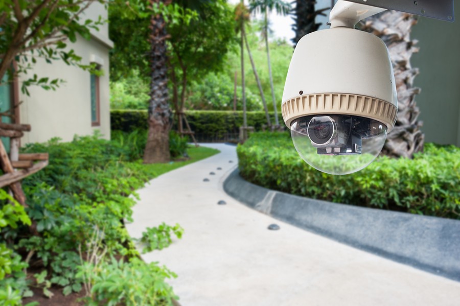 A security camera monitors a garden pathway next to a home